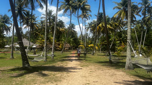 From Tea Plantations to Backwaters: Our journey through Kerala
