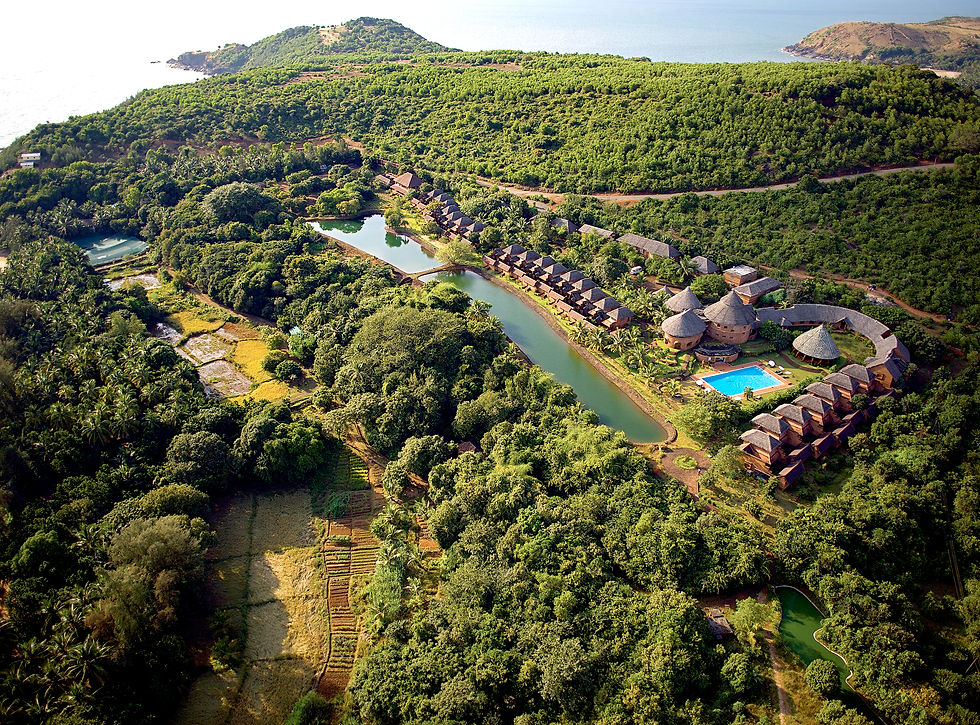forest with cabins and a lake