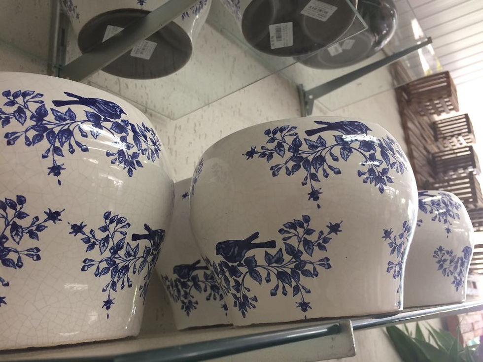 Vasos e Cachepots