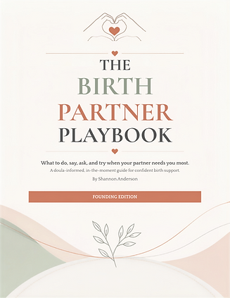 The Birth Partner Playbook Founding Edition V1(1).png