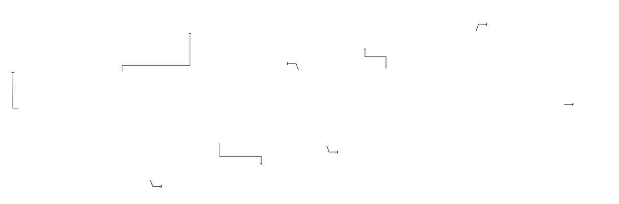 SPACEX STARSHIIP.png