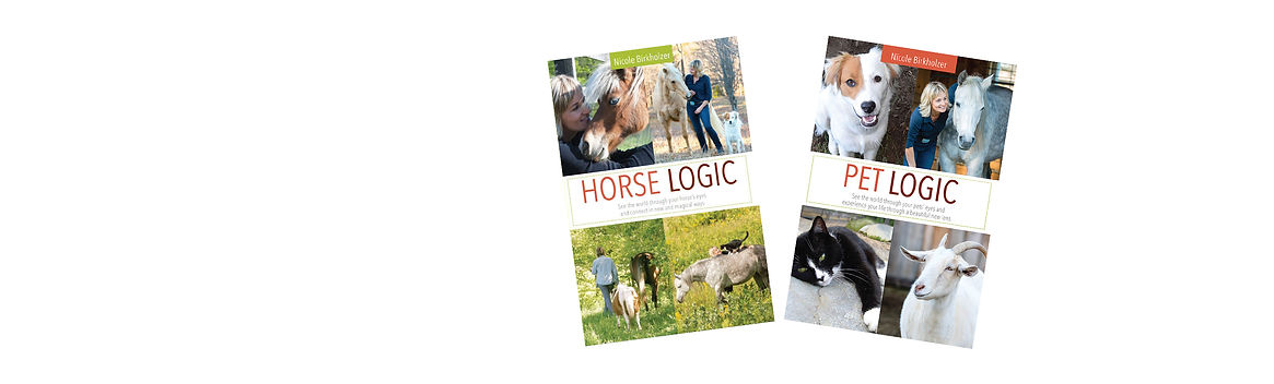 mfc_shopping_slide_books.jpg
