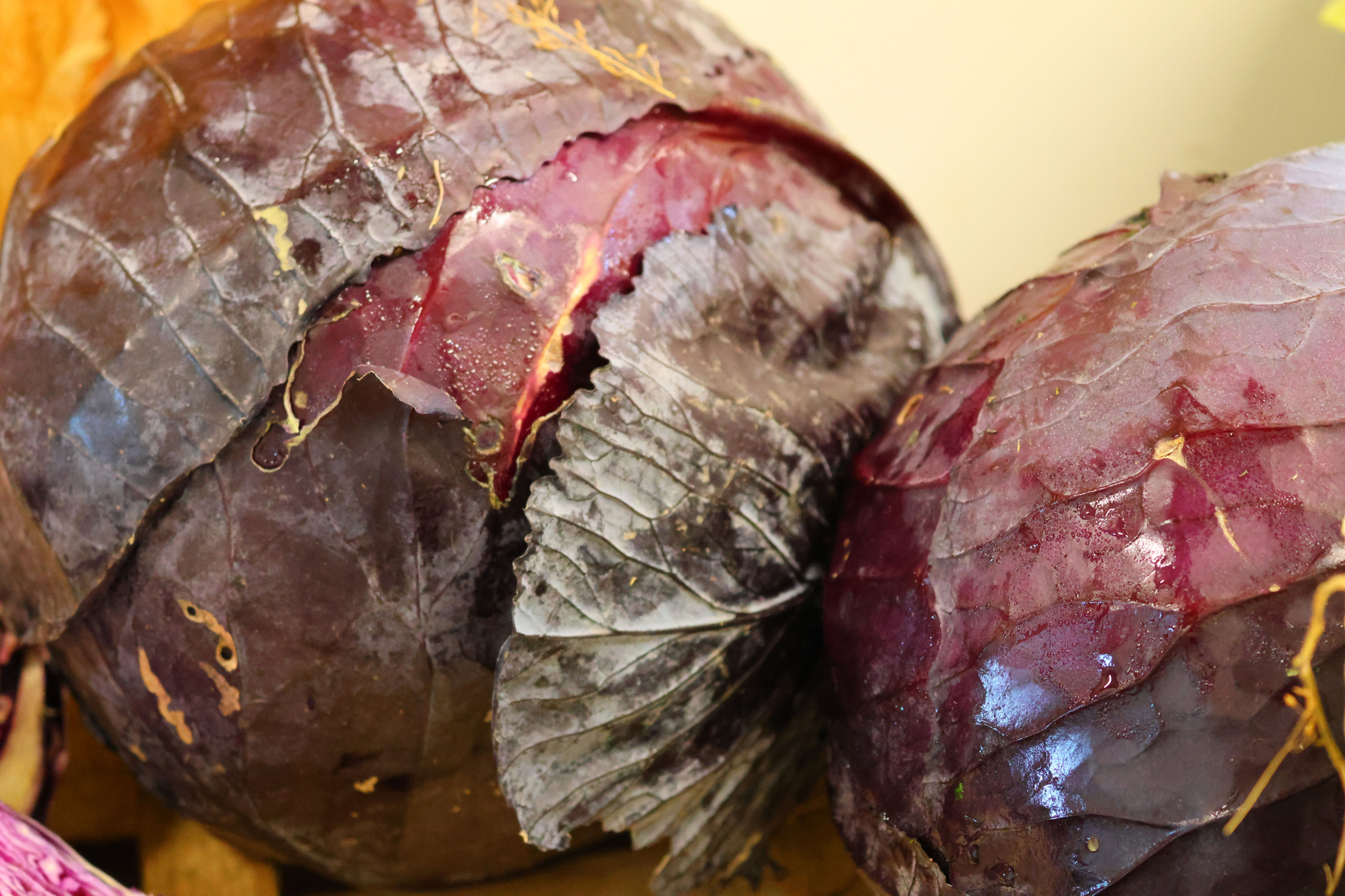 Chou rouge (entier) BIO