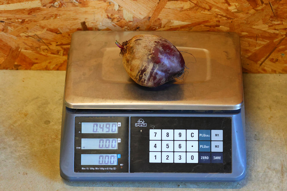 Miniature : A- Betterave BIO - 600 grammes