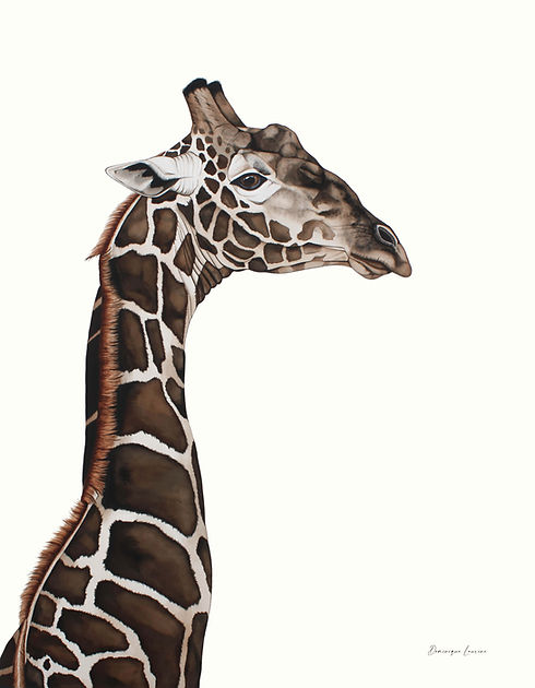 KAAPSE GIRAFFE.jpg