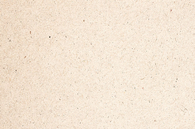 Paper Texture_edited_edited.jpg