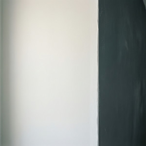 Renovierung 'Frischer Glanz'