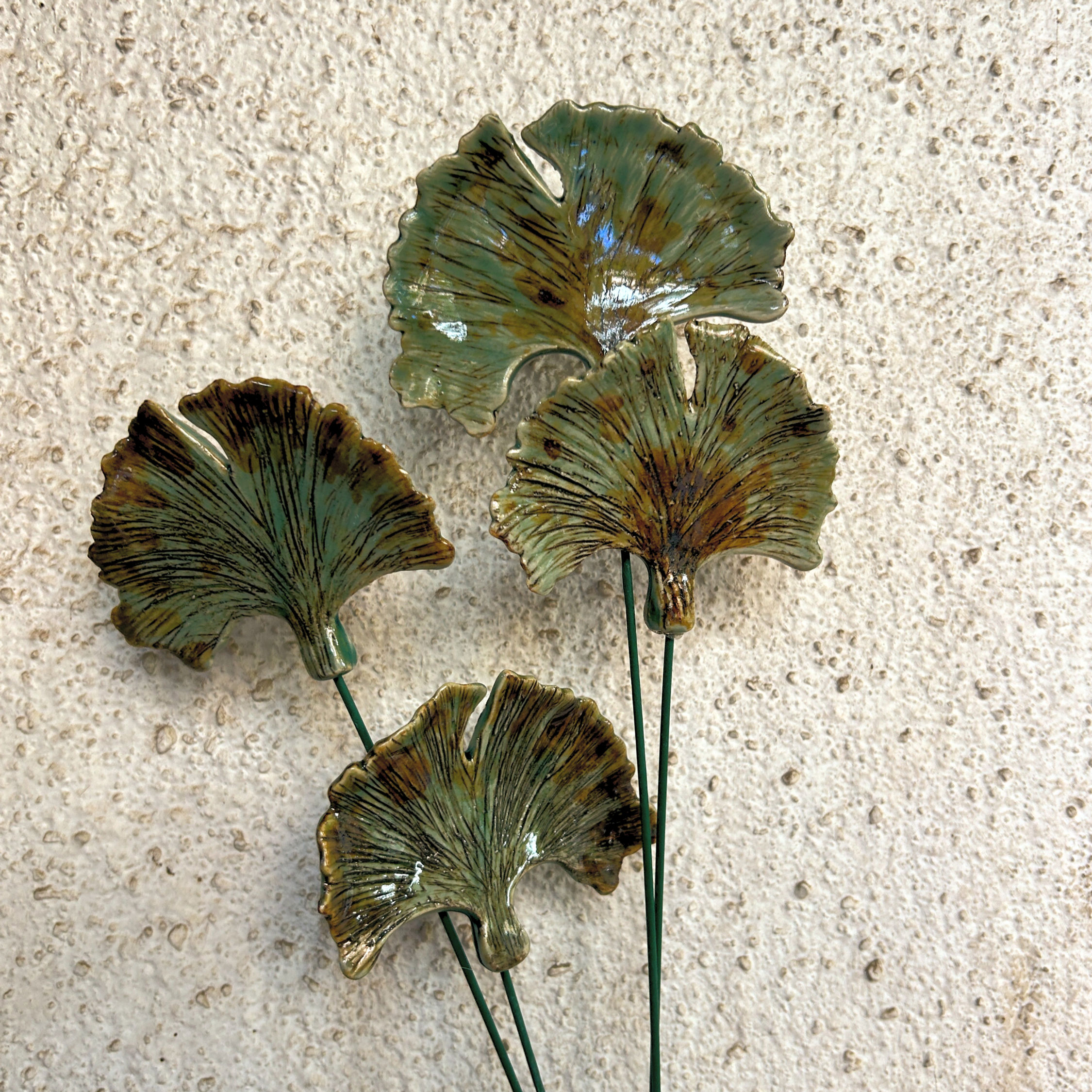 Ginkgo Leaves