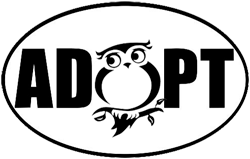 adopt a bird