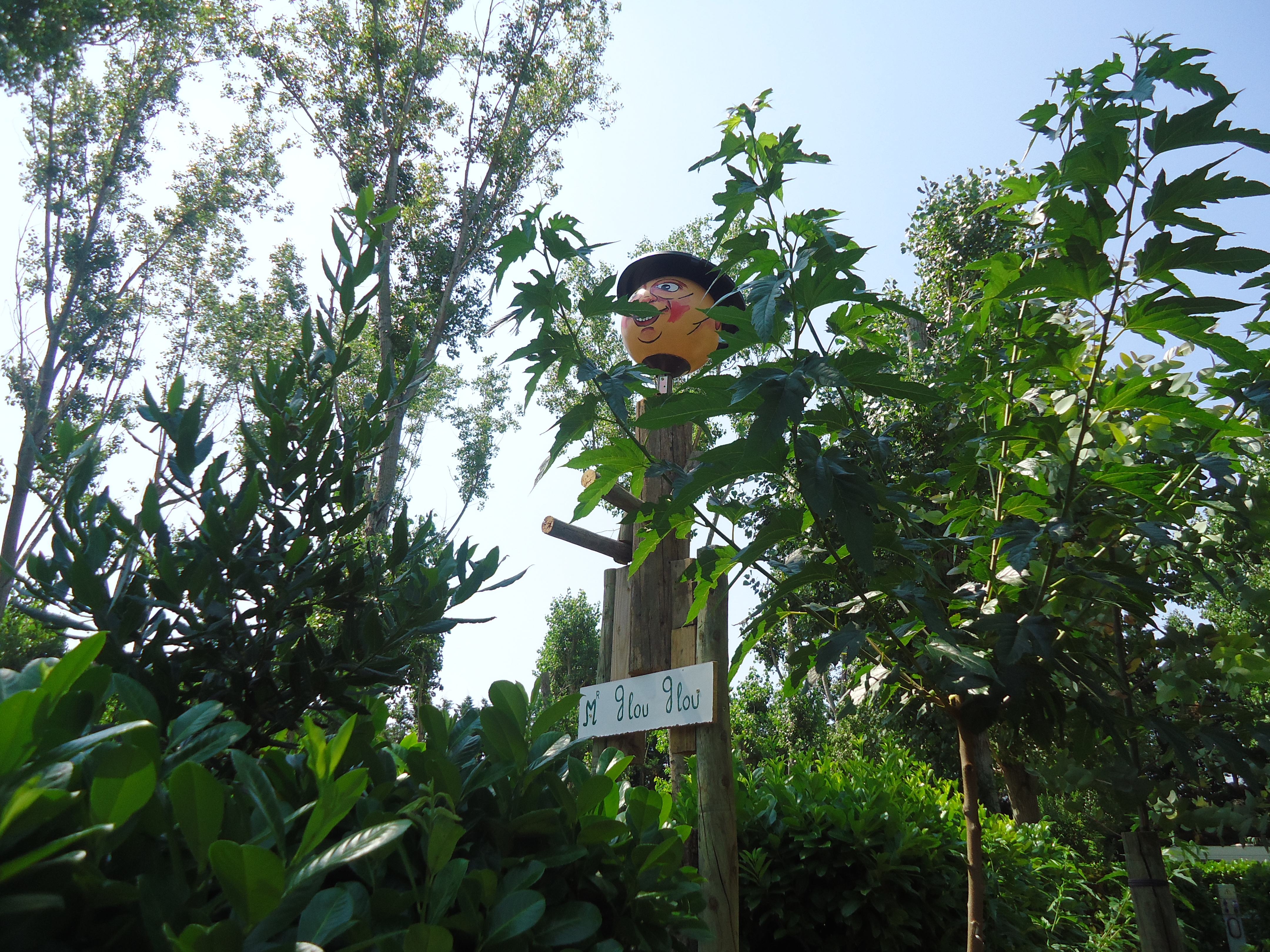 DSC000101