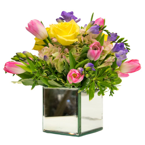 Spring Beauty