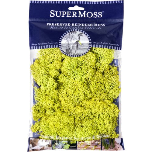 Super Moss 21708 2-ounce Chartreuse Reindeer Moss