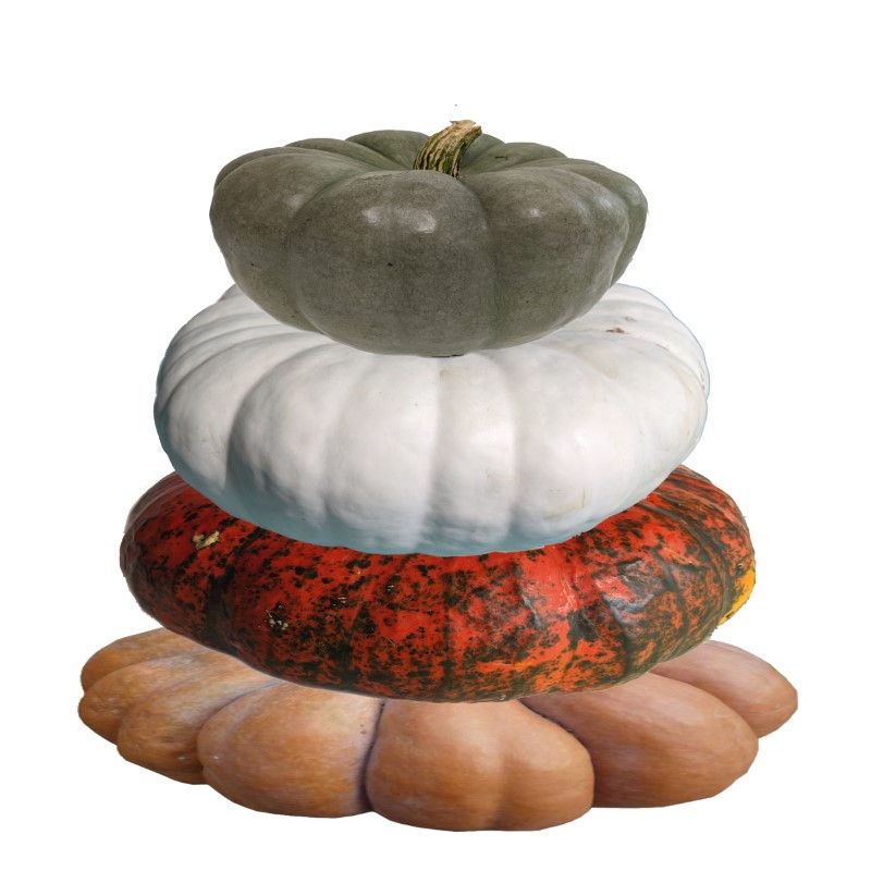 Thumbnail: Pumpkin Stackers