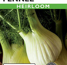 FENNEL FLORENCE  HEIRLOOM
