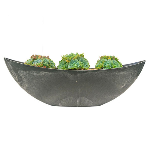 3 Succulents in Pot