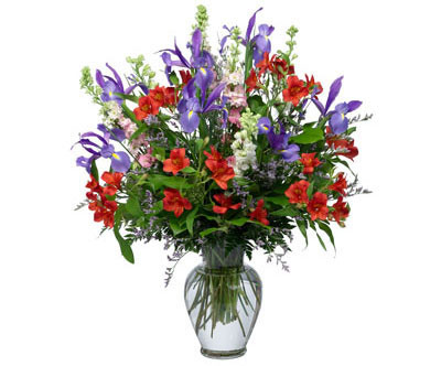 Alstros & Irises