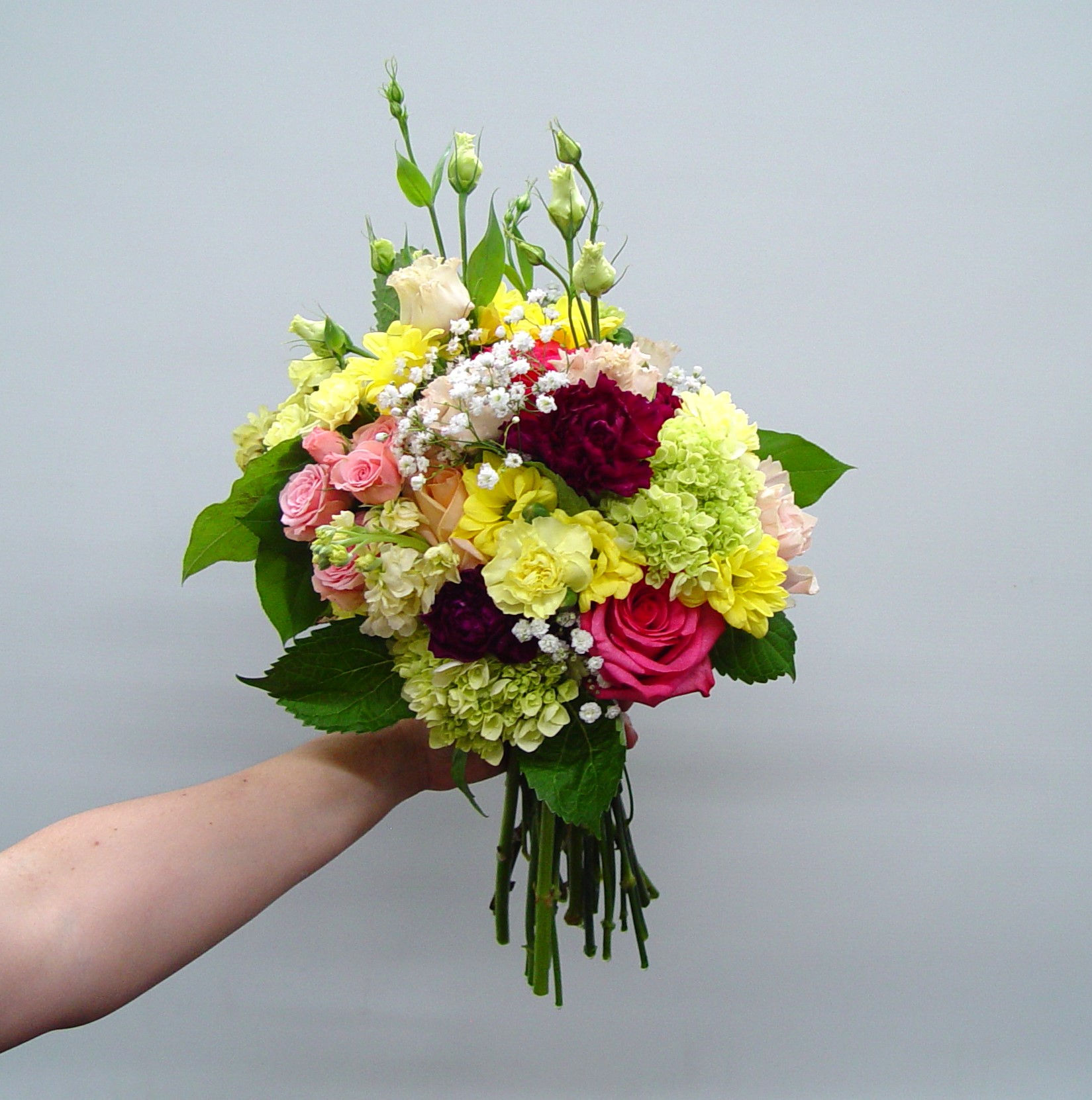 Designers Choice Subscription