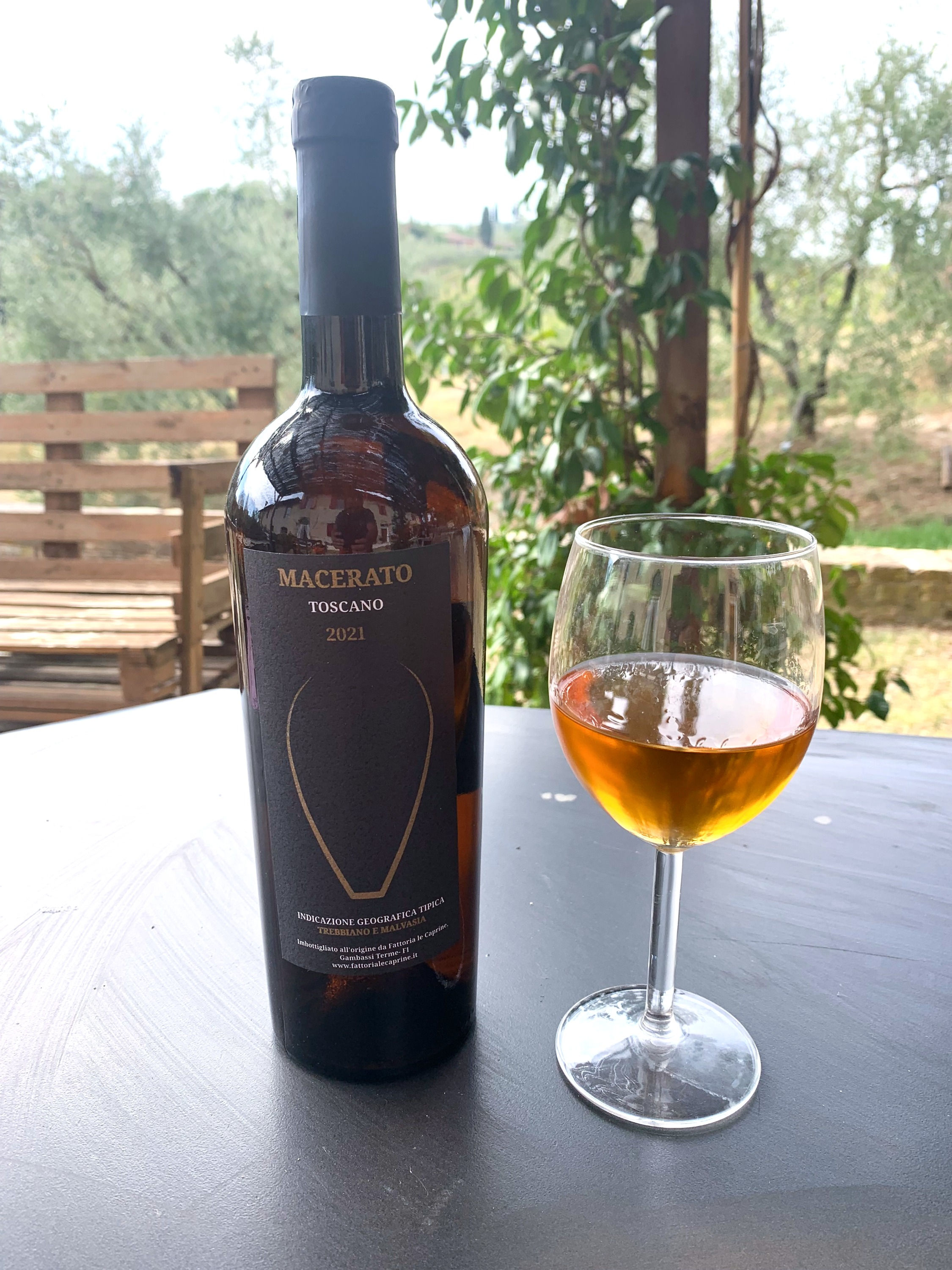 IL MACERATO 2020 SOLO ANFORA