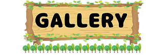 ギャラリー.png