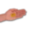 TrainingNibbles-Hand.webp