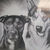 Thumbnail: The video reveal of the official first Pet Canvas Co. custom pet portrait. It is in the style Black & White Drawing.