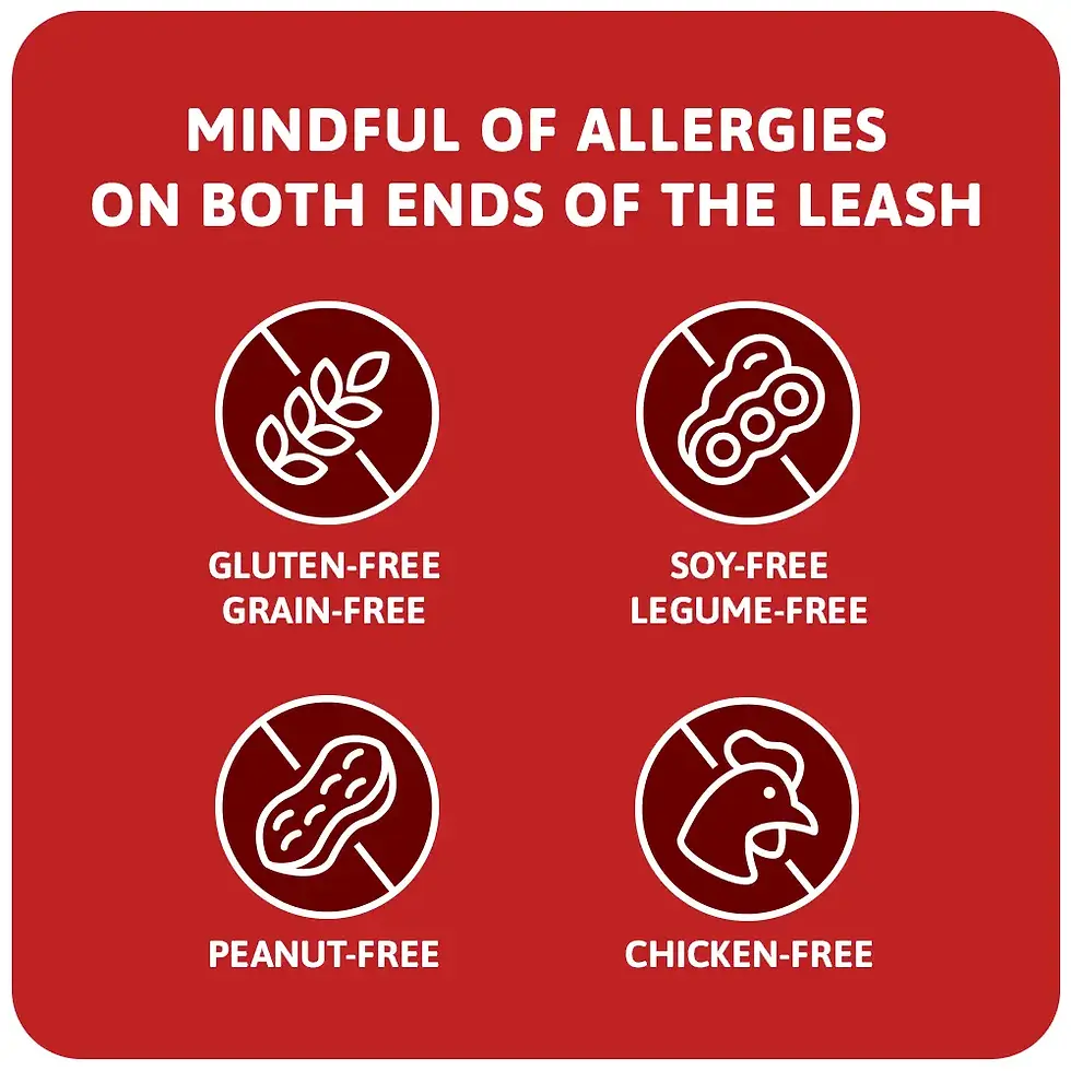 Thumbnail: Mindful of Allergies on both ends of the leash. Icons gluten-free/grain-free, soy-free/legume-free, peanut-free, chicken-free