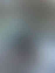 NZ bound for NZ2Up S3