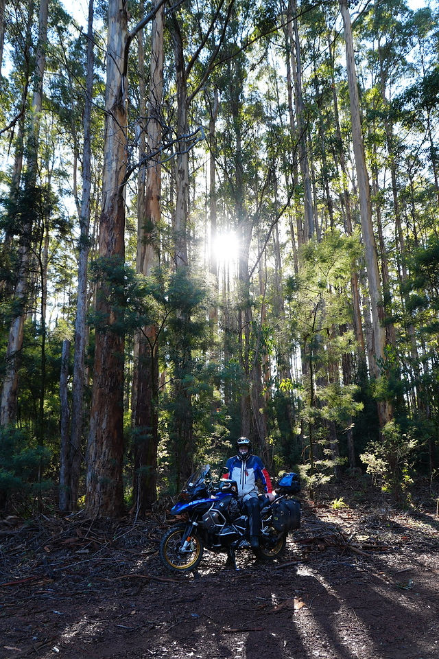 Donnelly River WA