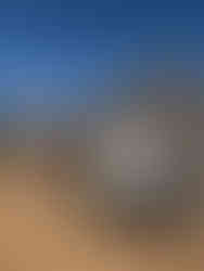 BMW at Boscabel Hall