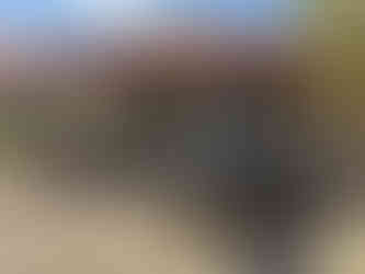 Wyalkatchem General Store