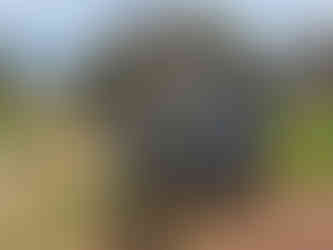 Wilson Inlet Denmark WA