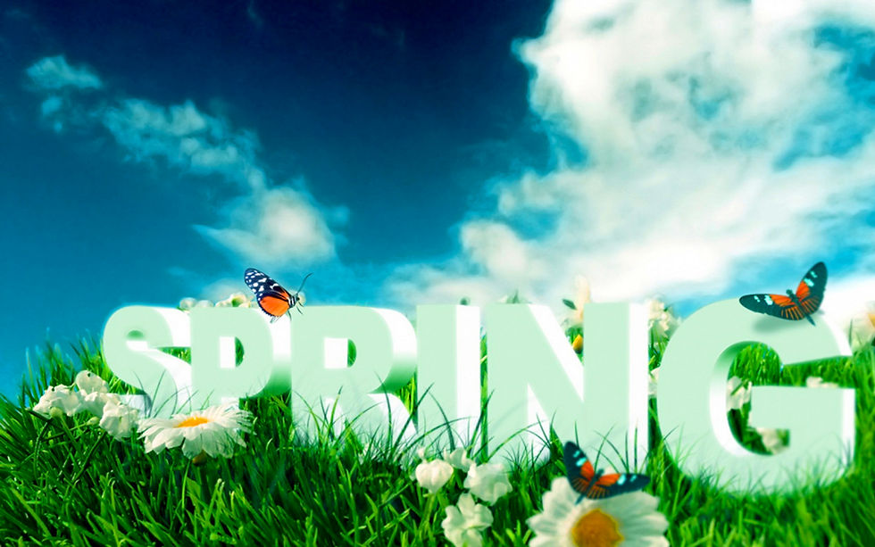 spring1