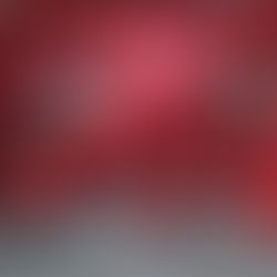 NO ALLA VIOLENZA SULLE DONNE