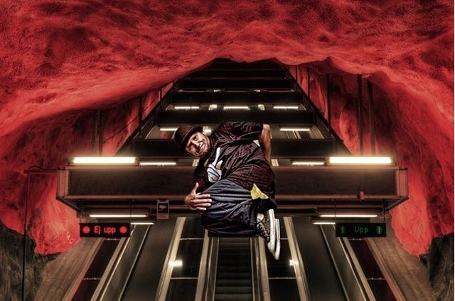 Fly