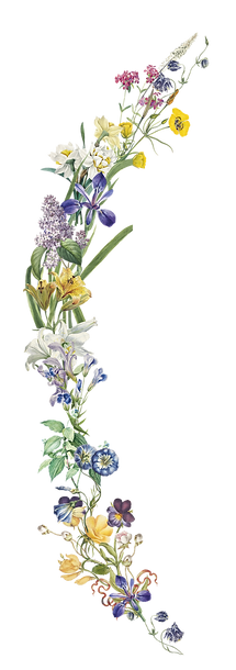 elementos_mar-03_edited.png