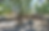 Yucca Gardens