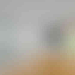 Eve Arden house flip failure