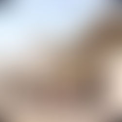 The Mandarin Market (1929-1982)