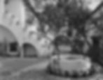 Court of the Olive Tree Hollywood