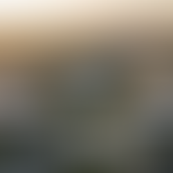 Investiční nemovitosti