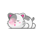 Ssssttt!!, Shut up! The cat is sleeping.gif