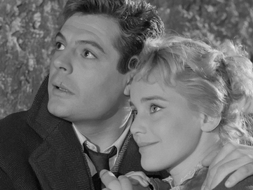 Why Do I Hate This Movie I Loved? by Sam Nivola