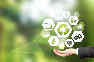 Sustainability Report Assurance