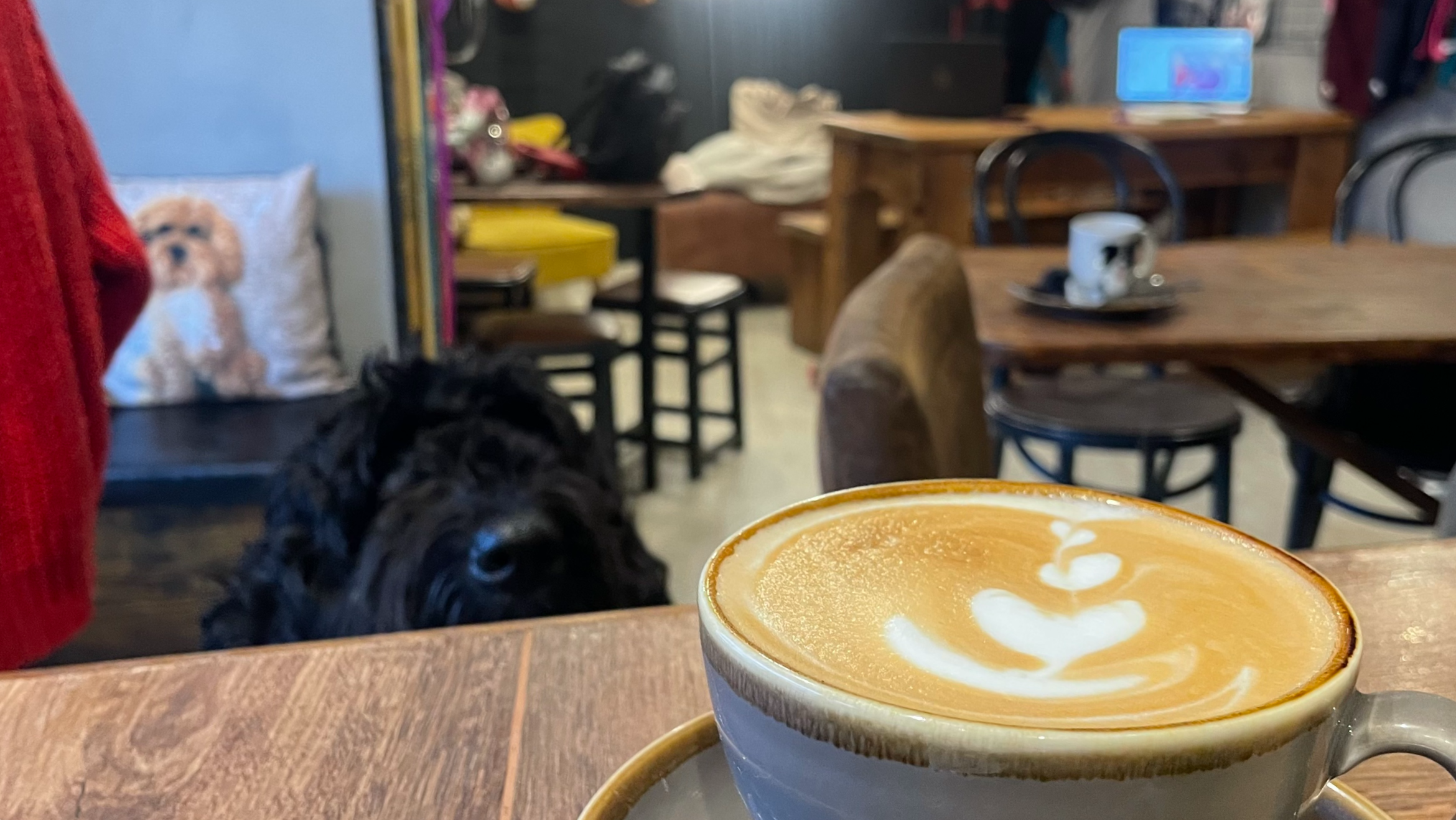 Dog Lover Shop & Coffee Stop