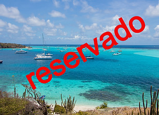 _MG_9614_edited.jpg