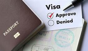 Visa Services