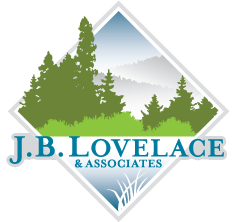 Client Logo 12