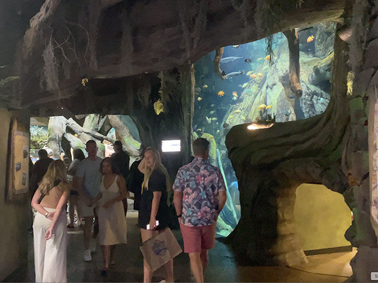 People walk through an aquarium tunnel with large fish tanks. The setting features dim lighting and aquatic scenery with vivid blue hues.