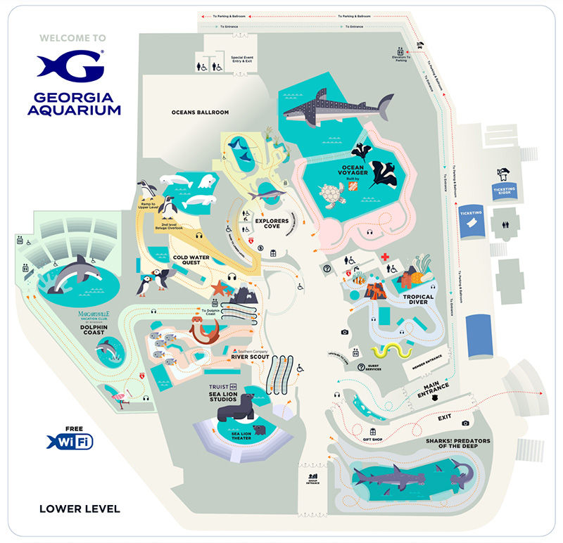 Map of Georgia Aquarium's lower level featuring labeled sections like Ocean Voyager, Dolphins, and Sea Lion Theater. Notable animals and paths.