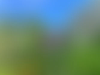 sign reading welcome to Half Moon Cay Bahamas